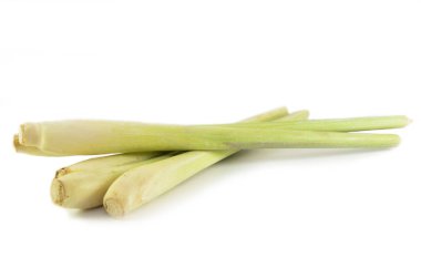 Beyaz arka plan üzerinde izole taze limon otu