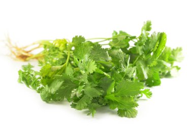 Coriandrum sativum izole üzerinde beyaz arka plan bırakır