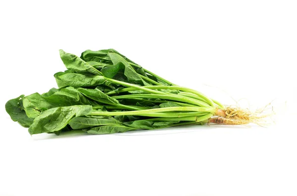 Fresh Bunch Spinach Isolated White Background — Stock Photo, Image