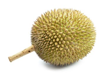 Beyaz arka planda taze Durian var. Durian tropikal meyvelerin kralıdır..