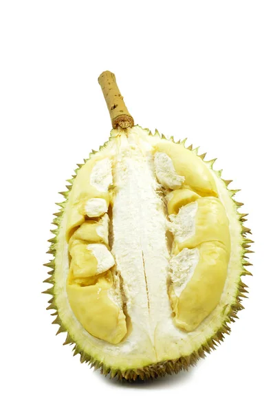 Durian Fresh Isolated White Background — Stock Photo, Image
