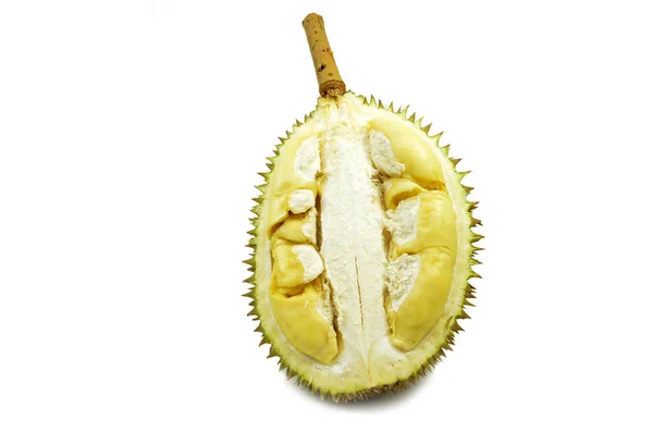 Durian Fresh Isolated White Background — Stock Photo, Image