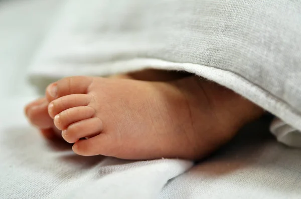 Bonito Bebê Pés Escondidos Cobertor Branco — Fotografia de Stock