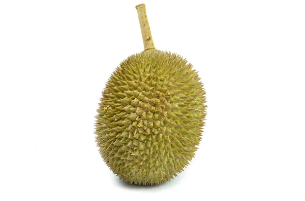 Fresh Durian Isolate White Background Durian King Tropical Fruit — Stock Photo, Image