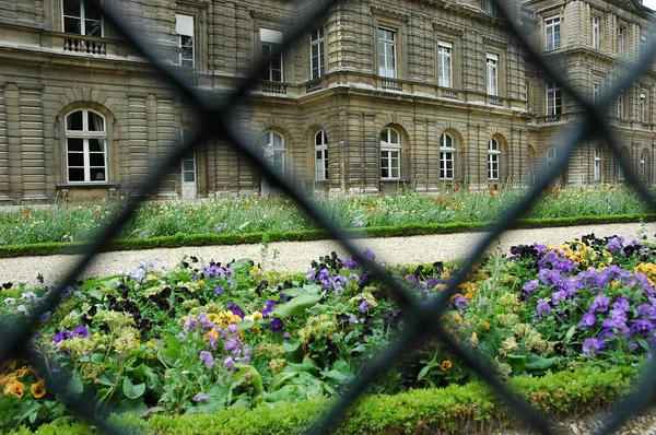 Paris France Jul 2018 Palais Luxembourg Ses Jardins Par Une — Photo