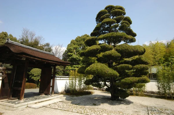 Inuyama Japan Apr 2018 Weergave Van Theeceremonie Huis Zei Een — Stockfoto