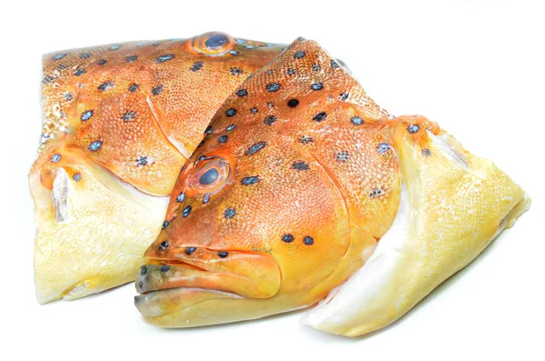 Grouper Fisk Huvud Isolerad Vit Bakgrund — Stockfoto
