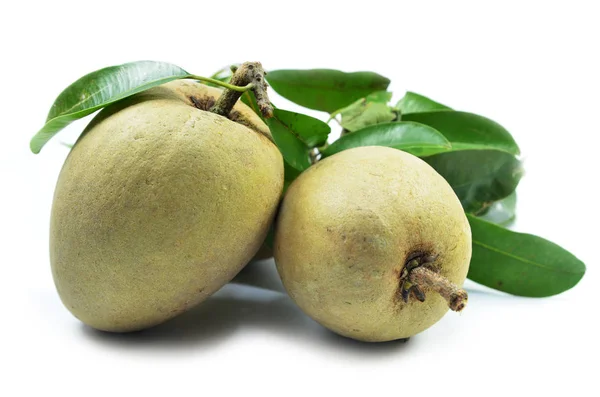 Buah Sapodilla Segar Tropis Terisolasi Pada Latar Belakang Putih — Stok Foto