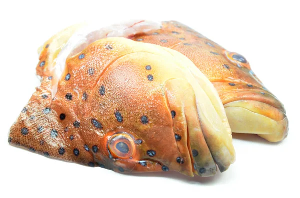 Grouper Vissen Hoofd Geïsoleerd Witte Achtergrond — Stockfoto