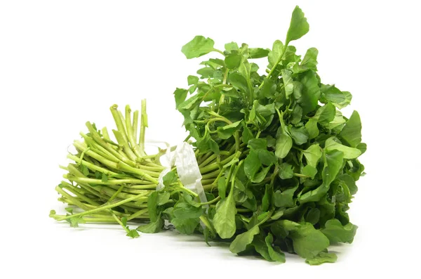 Freshly Picked Organic Watercress Isolated White Background — Stock Photo, Image