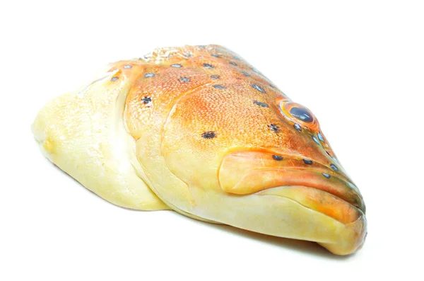 Zackenbarsch Fischkopf Isoliert Auf Weißem Hintergrund — Stockfoto
