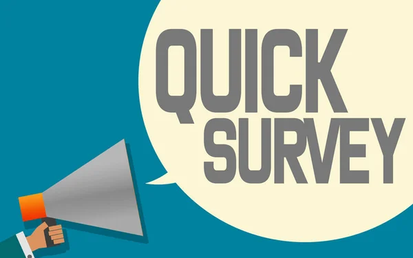 Megaphone Quick Survey Speech Bubble Rendering — Stock Photo, Image