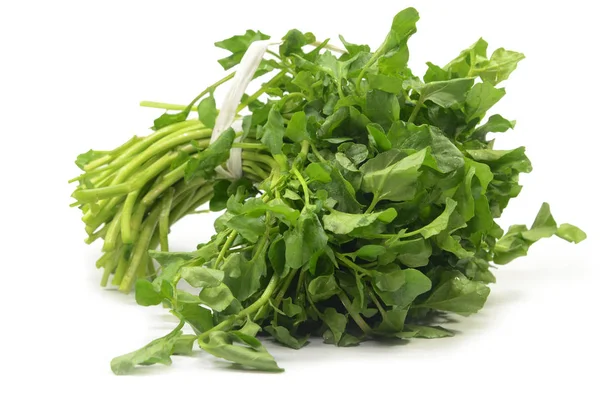 Freshly Picked Organic Watercress Isolated White Background — Stock Photo, Image