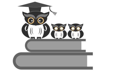 Baykuş, izole edilmiş kitapların üzerinde oturuyor.