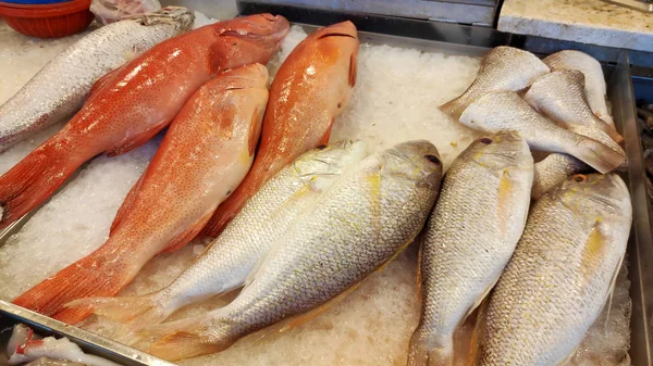 鱼市上出售的鲜鱼 — 图库照片