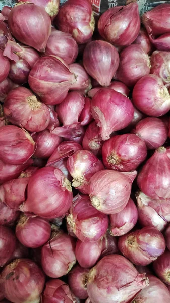 Chalota Roja Orgánica Fresca Mercado — Foto de Stock