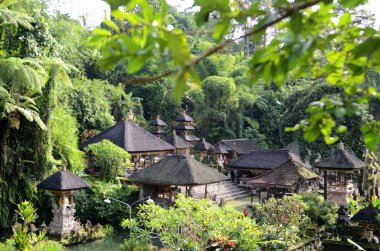 Tapınakta Bali, Endonezya Kawi Gunung görünümünü