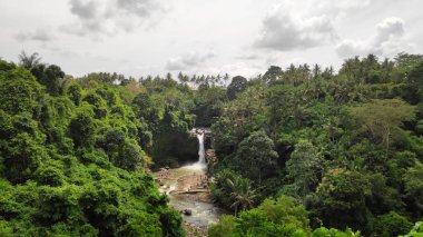 Tegenungan şelale Bali, Endonezya'da Ubud yakınındaki görünümünü