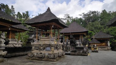 Bali Endonezya 'da Pura Tirta Empul