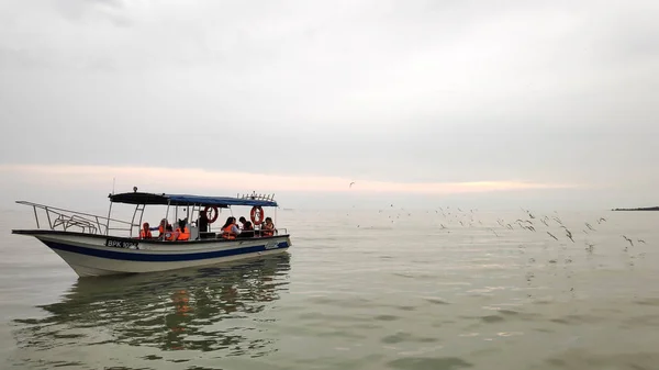 Os turistas apreciam as águias que se alimentam em um barco em Kuala Selangor, M — Fotografia de Stock