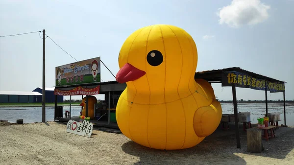 Pato amarillo colocado fuera del puesto local en Sekinchan, Malaysi —  Fotos de Stock