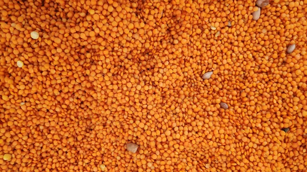 Primo piano delle lenticchie rosse — Foto Stock