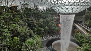 Singa 'da Jewal Changi Havaalanı içinde bulunan Rain Vortex
