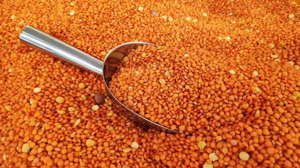 Red lentils on market — Stock Photo, Image