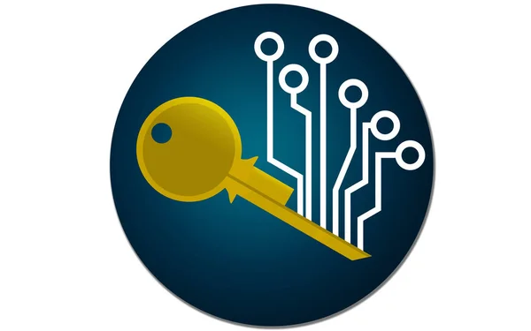 Icono clave criptomoneda aislado — Foto de Stock