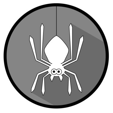 Gri arka planda örümcek