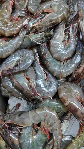Fresh shrimp or prawn on ice — Stock Photo, Image