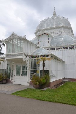 Golden Gate Park Çiçek Konservatuarı.