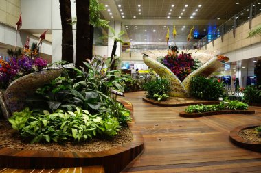 Singapur Changi Havaalanı mimarisi ve yolcuları