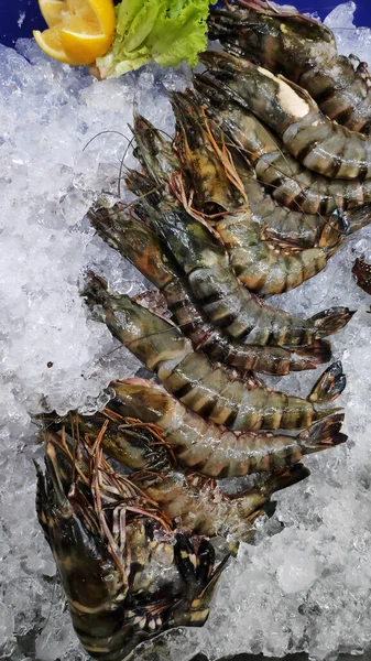 Raw shrimps on ice with spices lemon — Stock Photo, Image