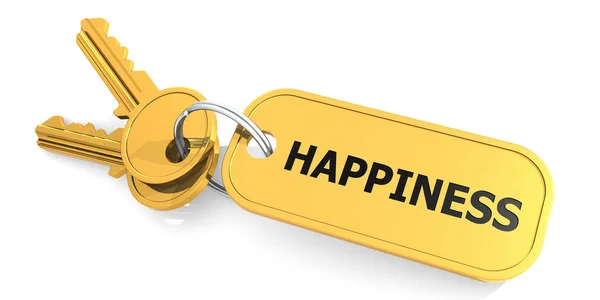 Happiness Keys Isolated White Background Rendering — Stock Photo, Image