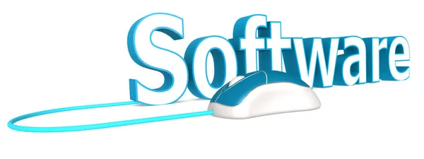 ソフトウェアの単語 3Dレンダリングと青と白のコンピュータのマウス — ストック写真