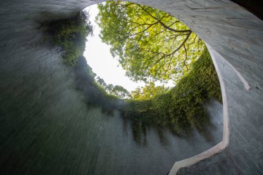 Singapur 'daki Fort Canning Ağaç Tüneli. Bu bir araç tüneli ve Singapur 'un merkez bölgesindeki ikonik fotoğraf noktalarından biri..