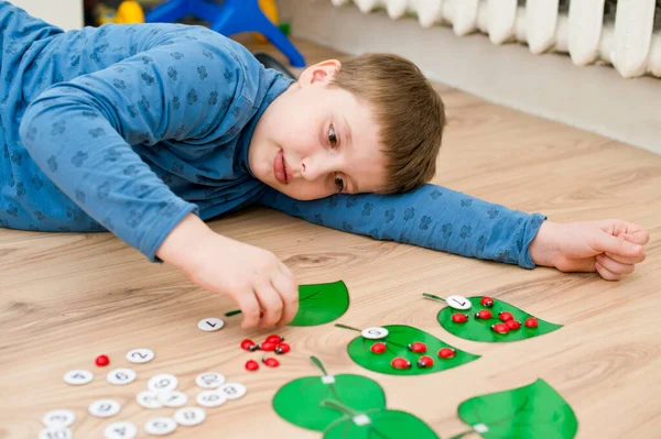 Menino Deitado Chão Jogando Caseiro Jogo Contagem Joaninha Folha Brinca — Fotografia de Stock