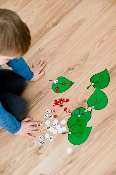 Boy lying on the floor and playing homemade counting game \