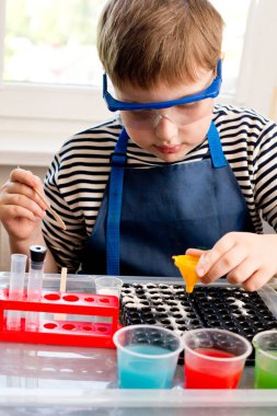 Genç kimyager. Çocuk laboratuarda oynuyor, renkli su ve sodayla deneyler yapıyor. Ödev görevi.
