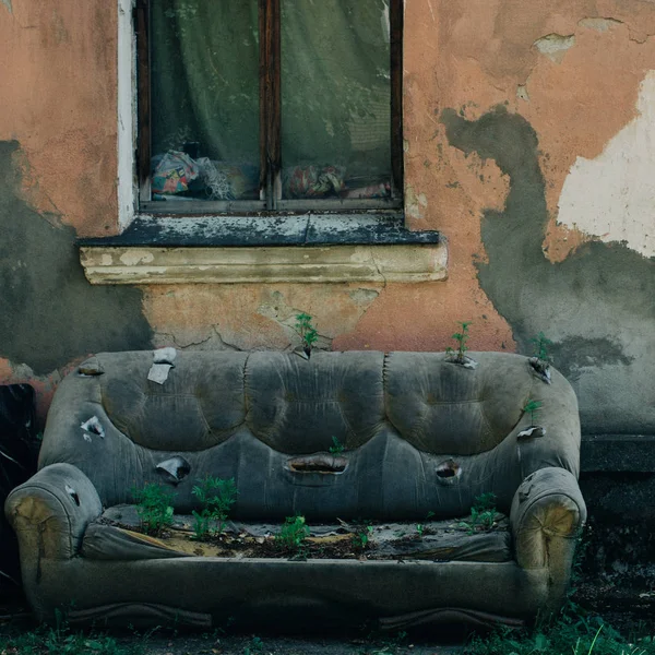 old leather abandoned sofa on the street at the facade of the destroyed house, the plants sprouted through the upholstery of the sofa