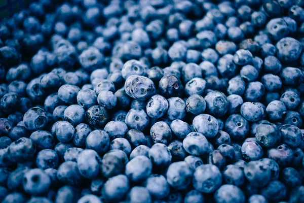 Fresh Blueberry Background Texture Blueberry Berries Close — Stock Photo, Image