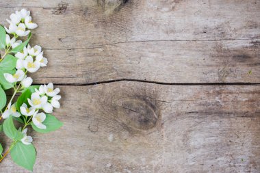 Yasemin ahşap arka plan üzerinde beyaz çiçek