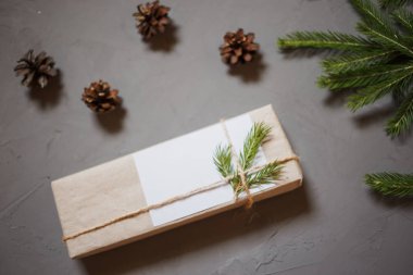 Çam ağacı ve dekor, dalları ve koniler ile Noel arka plan. Üstten görünüm kopya alanı ile gri arka plan sıvalı.