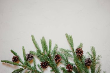 Çam ağacı ve dekor, dalları ve koniler ile Noel arka plan. Üstten görünüm kopya alanı ile arka plan beyaz sıvalı