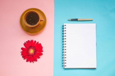 minimalist düz yatıyordu, pastel renkler, gerbera, Kupası, defter, kalem, kopya alanı