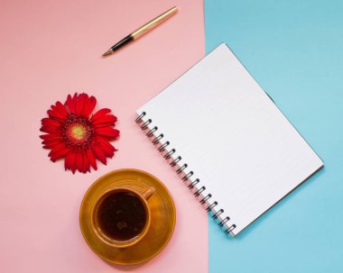 minimalist düz yatıyordu, pastel renkler, gerbera, Kupası, defter, kalem, kopya alanı