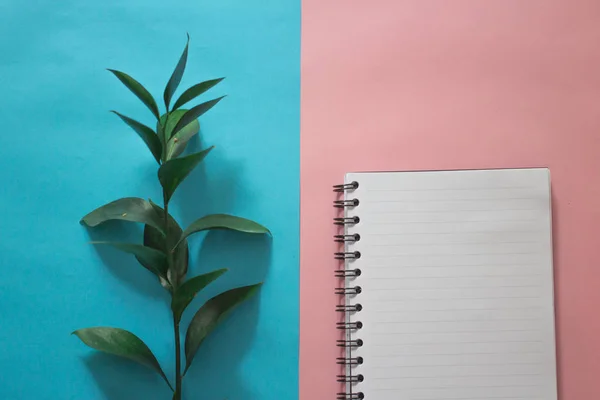 minimalist Flat lay, pastel colors,notebook, green branch, copy space