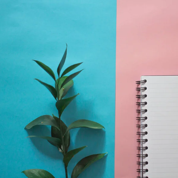 minimalist Flat lay, pastel colors,notebook, green branch, copy space