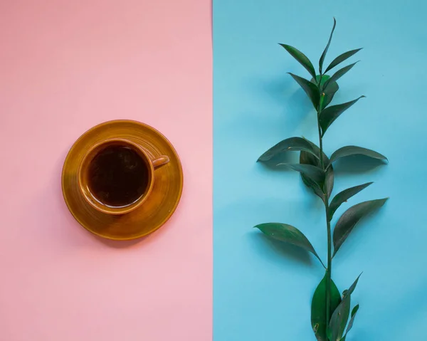 minimalist Flat lay, pastel colors, Cup of coffee, green branch